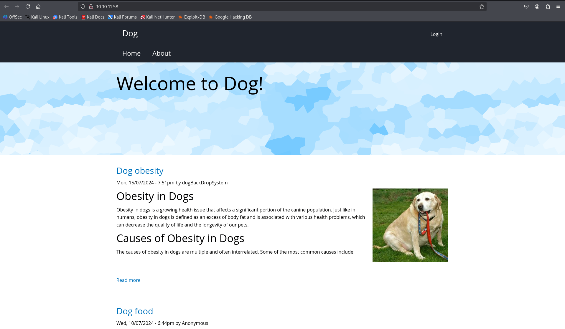 Dog