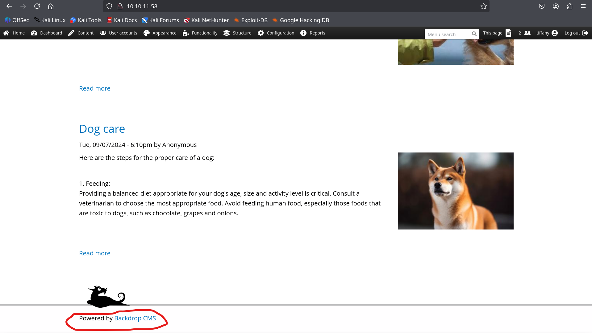 Dog